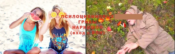 mdpv Алзамай