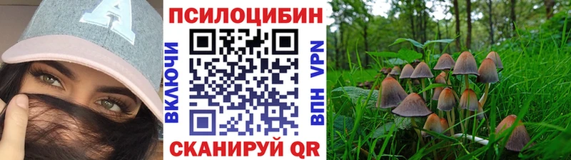 как найти   Талица  Галлюциногенные грибы ЛСД 